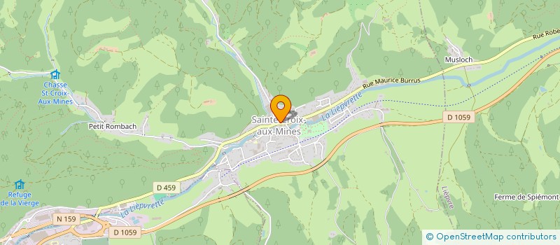 localisation de l'entreprise FLEURS ARC EN CIEL  SAINTE-CROIX-AUX-MINES