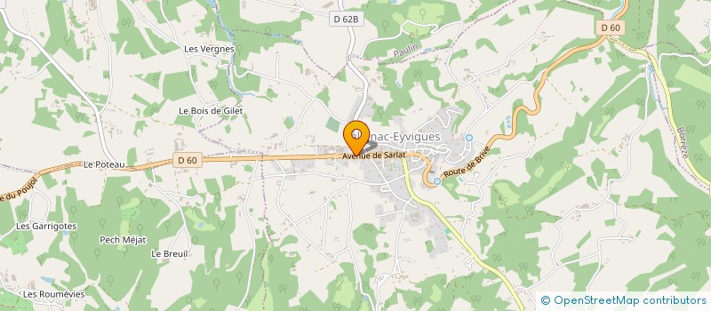 localisation de l'entreprise FLEURS D'EUROPE - SALIGNAC à SAINT-CREPIN-ET-CARLUCET