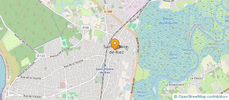 localisation de l'entreprise FLEURS DE VIE 85 à SAINT-HILAIRE-DE-RIEZ