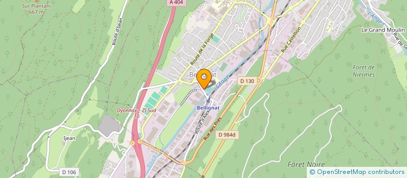 localisation de l'entreprise FLEURS DE VIGNES  BELLIGNAT