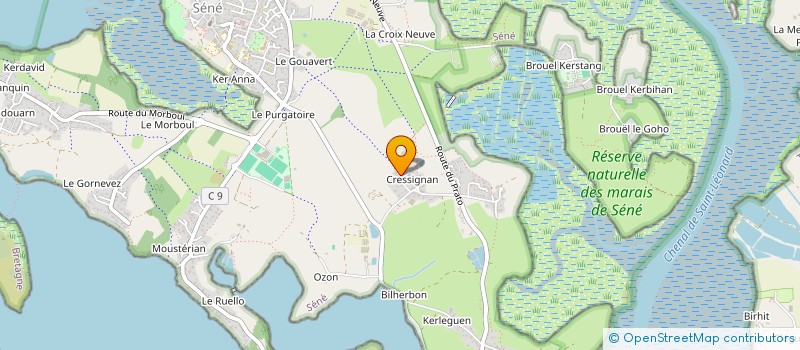 localisation de l'entreprise FLEURS DU TEMPS  SENE