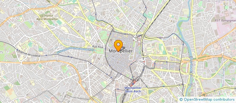 localisation de l'entreprise FLEURS FLAMMES à MONTPELLIER
