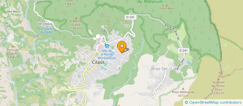 localisation de l'entreprise FLEURS JAUNES à CILAOS