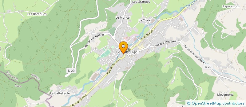 localisation de l'entreprise FLEURS'T NATURE 88 à LE VAL-D'AJOL