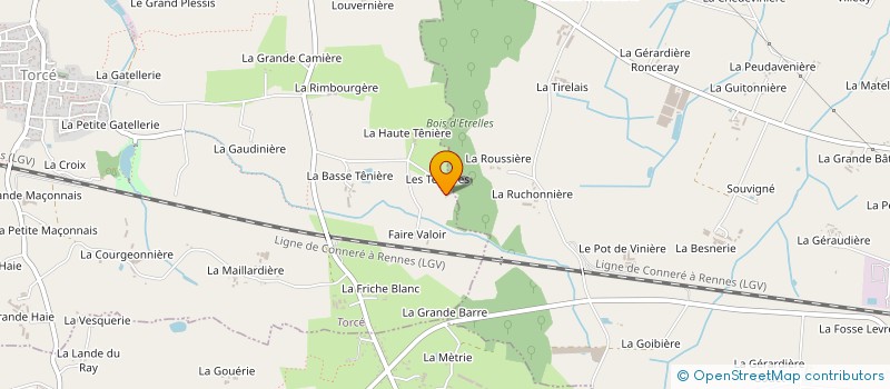 localisation de l'entreprise FLEURSGROSSISTE à TORCE
