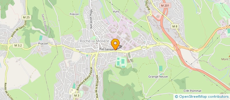 localisation de l'entreprise FLEX 2000 à ROCHE-LA-MOLIERE