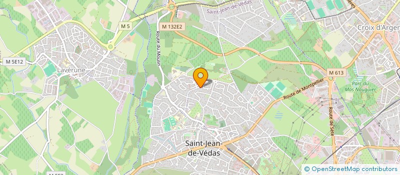 localisation de l'entreprise FLICKA  SAINT-JEAN-DE-VEDAS