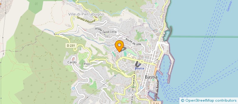 localisation de l'entreprise FLJV à BASTIA