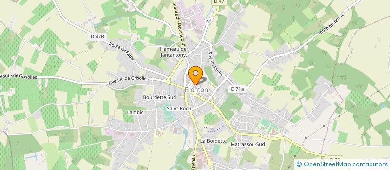 localisation de l'entreprise FLO DIEVIN  FRONTON