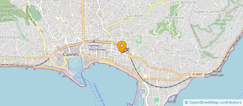 localisation de l'entreprise FLO MGT  CANNES