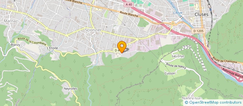 localisation de l'entreprise FLOCON EYEWEAR  SCIONZIER