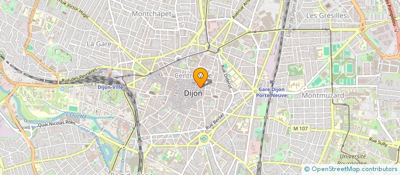 localisation de l'entreprise FLOCON TATTOO  DIJON