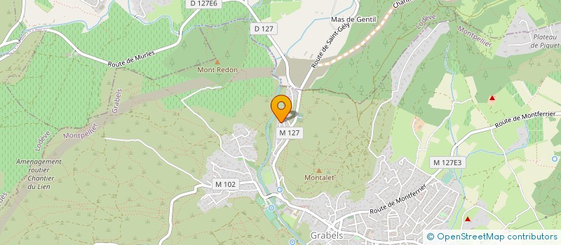 localisation de l'entreprise FLOGYSAL  GRABELS