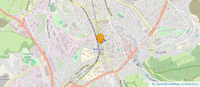 localisation de l'entreprise FLOMICS3C  SAINT-ETIENNE