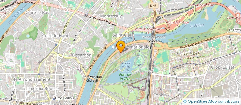 localisation de l'entreprise FLORA SOLIS  LYON