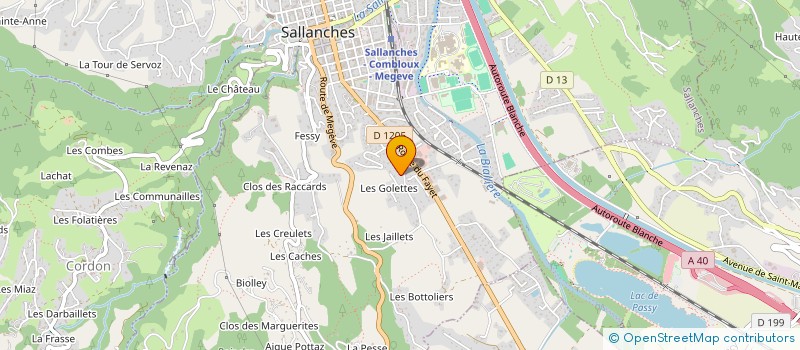 localisation de l'entreprise FLORALIE à SALLANCHES