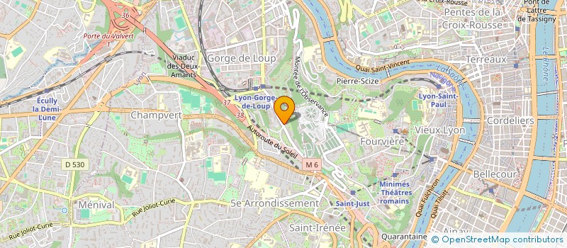 localisation de l'entreprise FLORDOM  LYON