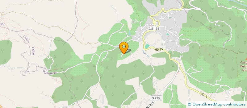 localisation de l'entreprise FLORE  CALLAS