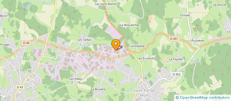 localisation de l'entreprise FLORENT PICHON  HOLDING  SAINT-PAL-DE-MONS