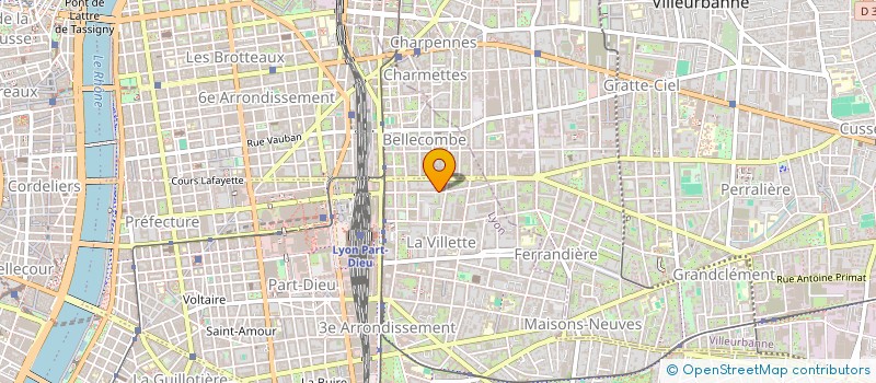 localisation de l'entreprise FLORES à VILLEURBANNE