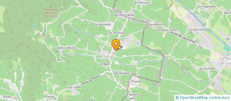 localisation de l'entreprise FLORIALAIN  CHENAS