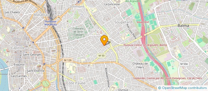 localisation de l'entreprise FLOU ARTISTIQUE à TOULOUSE