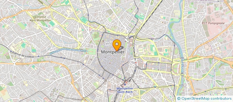 localisation de l'entreprise FLOWER MARKET à MONTPELLIER