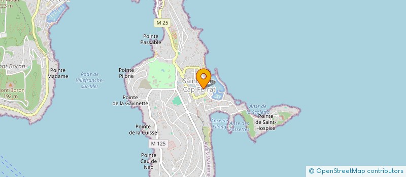 localisation de l'entreprise FLOXIER  SAINT-JEAN-CAP-FERRAT