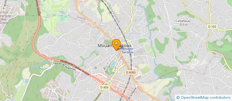 localisation de l'entreprise FLUX SYSTEM  MOUANS-SARTOUX