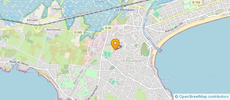 localisation de l'entreprise FLYE44  LE POULIGUEN