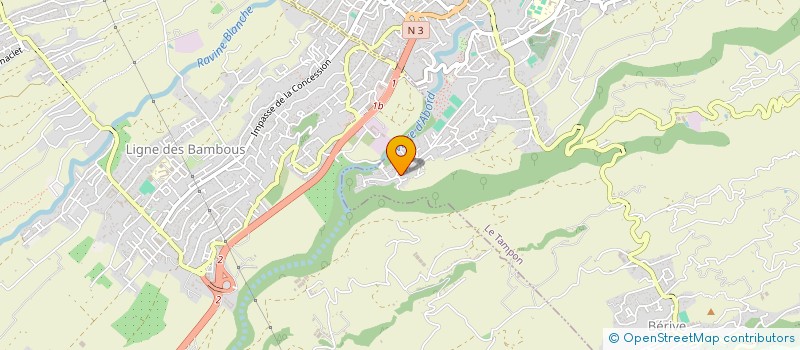 localisation de l'entreprise FLYING CARPET FRIENDS  LE TAMPON