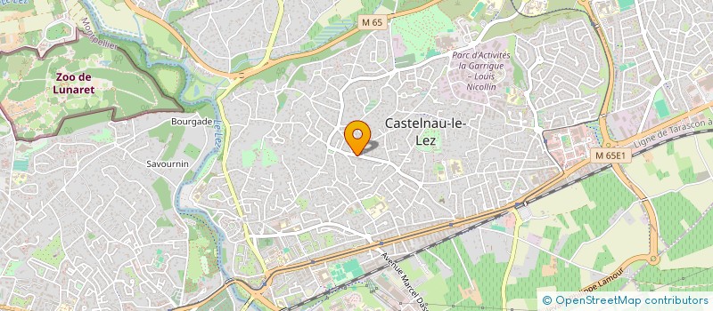 localisation de l'entreprise FLYING DRAGONS CASCADE à CASTELNAU-LE-LEZ