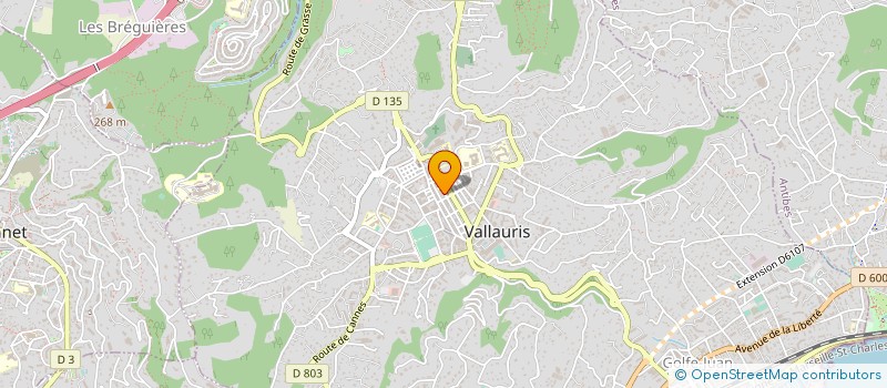 localisation de l'entreprise FMES à VALLAURIS
