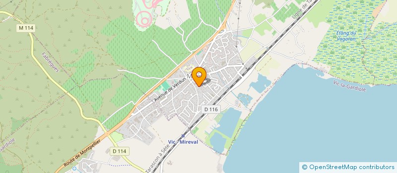 localisation de l'entreprise FMSYS  MIREVAL