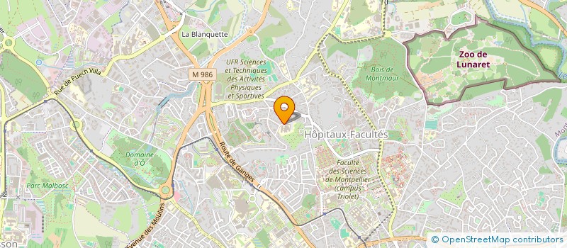 localisation de l'entreprise FOCUS ENSAM à MONTPELLIER