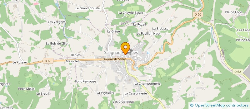 localisation de l'entreprise FOIE GRAS ROGER CROUZEL à SALIGNAC-EYVIGUES