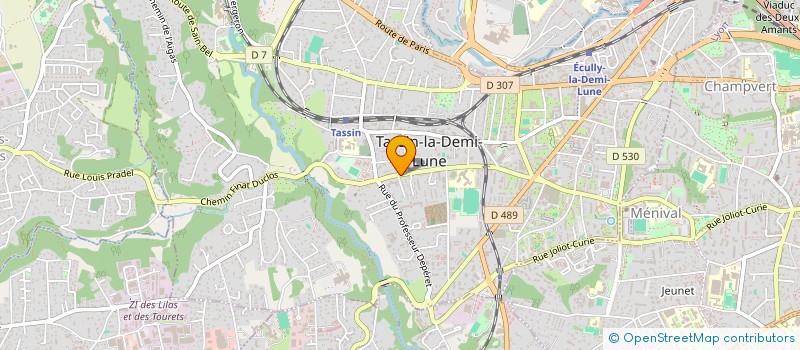 localisation de l'entreprise FONCIERE 812  TASSIN-LA-DEMI-LUNE