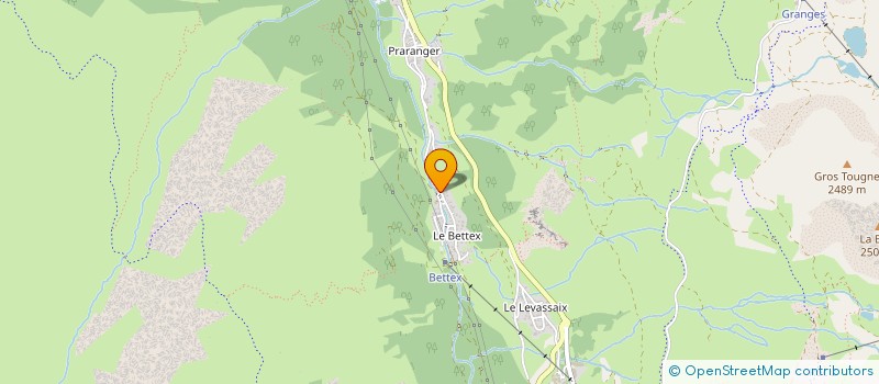 localisation de l'entreprise FONCIERE DES BELLEVILLE  LES BELLEVILLE