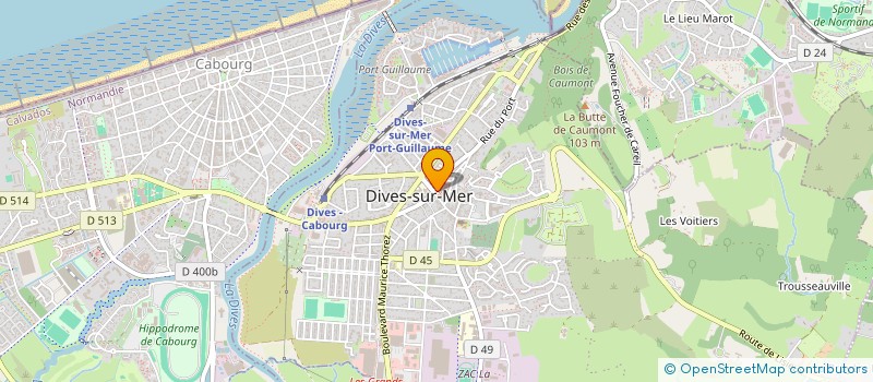 localisation de l'entreprise FONCIERE DSM à DIVES-SUR-MER