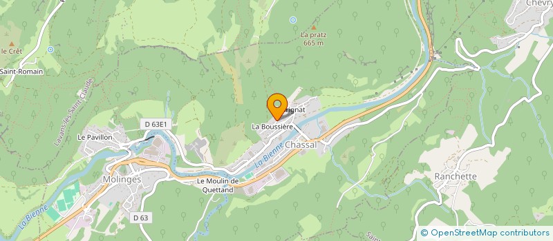 localisation de l'entreprise FONCIERE PARIS 11  CHASSAL-MOLINGES