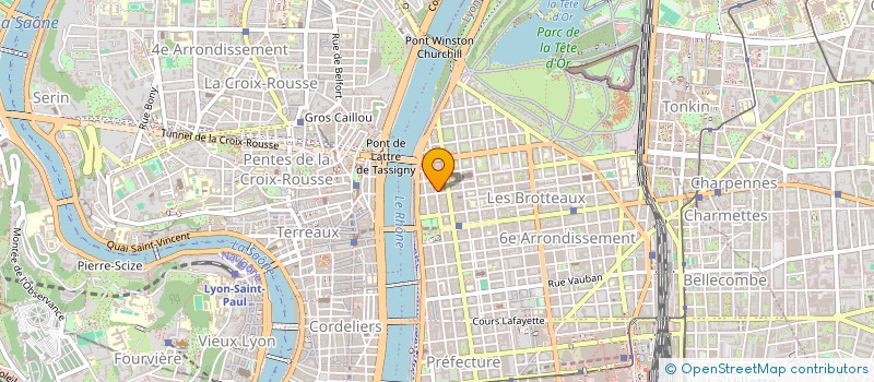 localisation de l'entreprise FONCIERE TLL  LYON