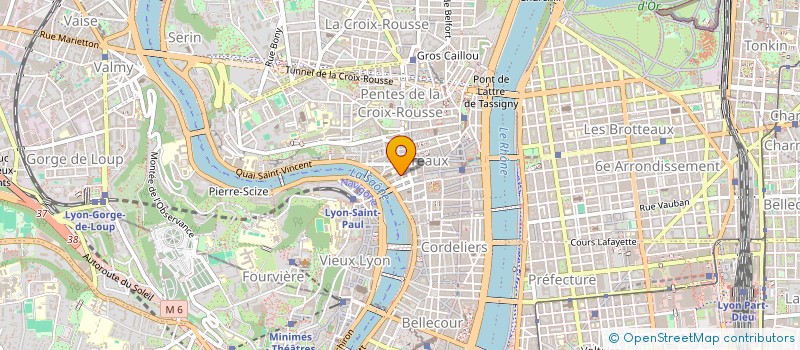 localisation de l'entreprise FONDATION CLAUDE MARTIN  LYON