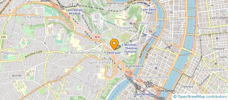 localisation de l'entreprise FONDATION DE MAZENOD à LYON