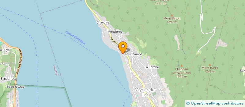 localisation de l'entreprise FONDATION MERIEUX  VEYRIER-DU-LAC