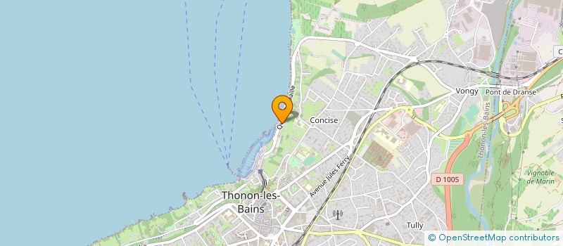 localisation de l'entreprise FONDATION RIPAILLE à THONON-LES-BAINS