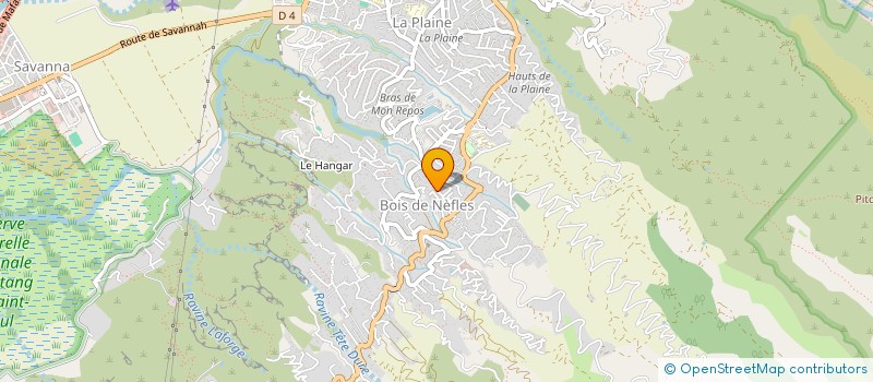 localisation de l'entreprise FONDATIONS à SAINT-PAUL
