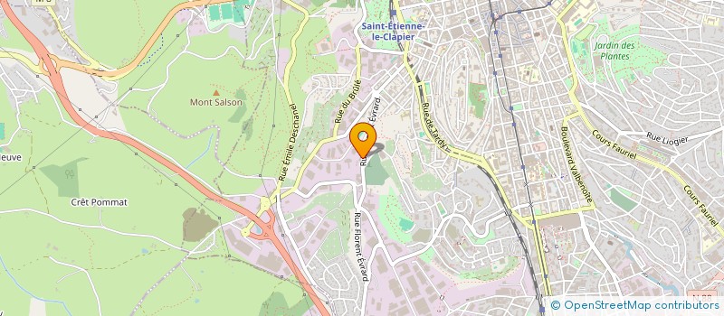 localisation de l'entreprise FONDS DE DOTATION AMIS CHATS LOIRE  SAINT-ETIENNE