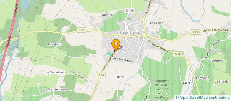 localisation de l'entreprise FONDS DE DOTATION AVENIR ACTION à SAINT-SAVIN