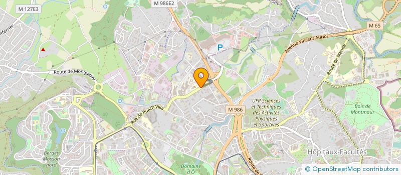localisation de l'entreprise FONDS POUR LA RECHERCHE CONTRE LE CANCER VAL D'AURELLE à MONTPELLIER