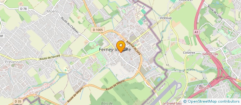 localisation de l'entreprise FOOD FOR HEALTH FRANCE à FERNEY-VOLTAIRE